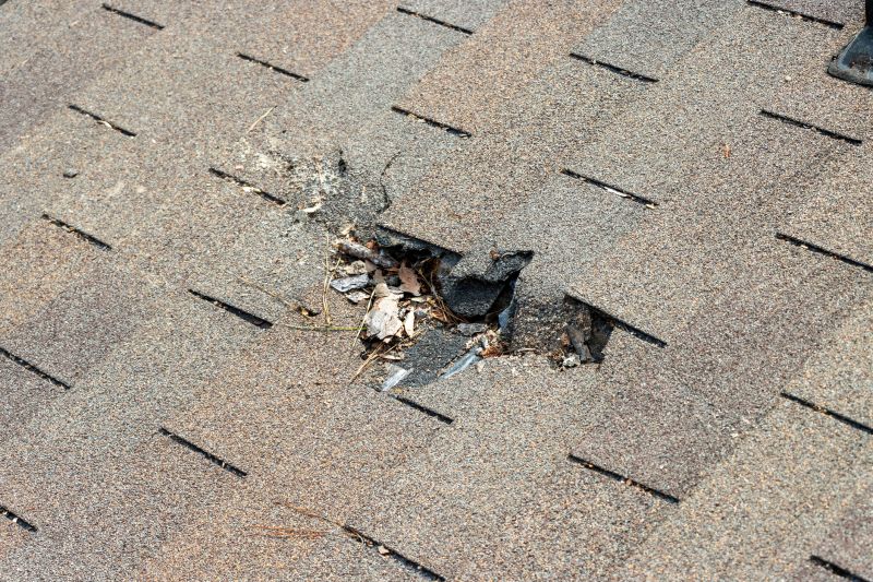 Damaged Roof Replacement in Hamilton, OH