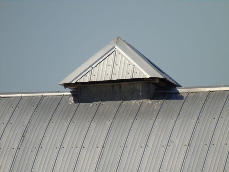 Tin Roof Installation in Batavia, OH